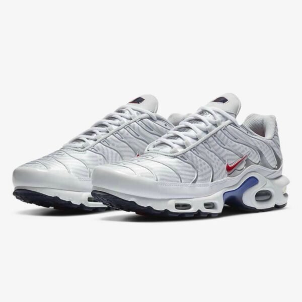 Nike Air Max Plus TN “ Euro Tour”